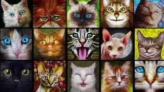 "Catistry!" is an engaging puzzle game that's all about cats!