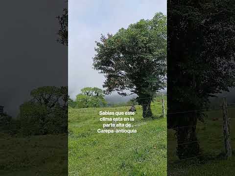 montañas de Carepa-antioquia
