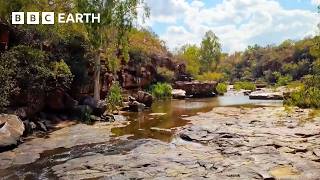 Navigating Australia's Unforgiving Wilderness | Without Limits: Australia | The Travel Edit