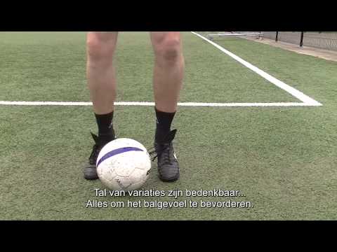 PVC F pupillen - Tippen