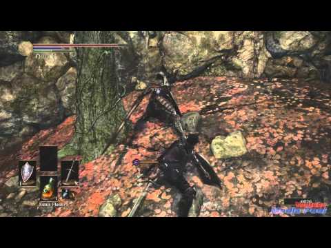 dark souls 3 road of sacrifice walkthrough part 5