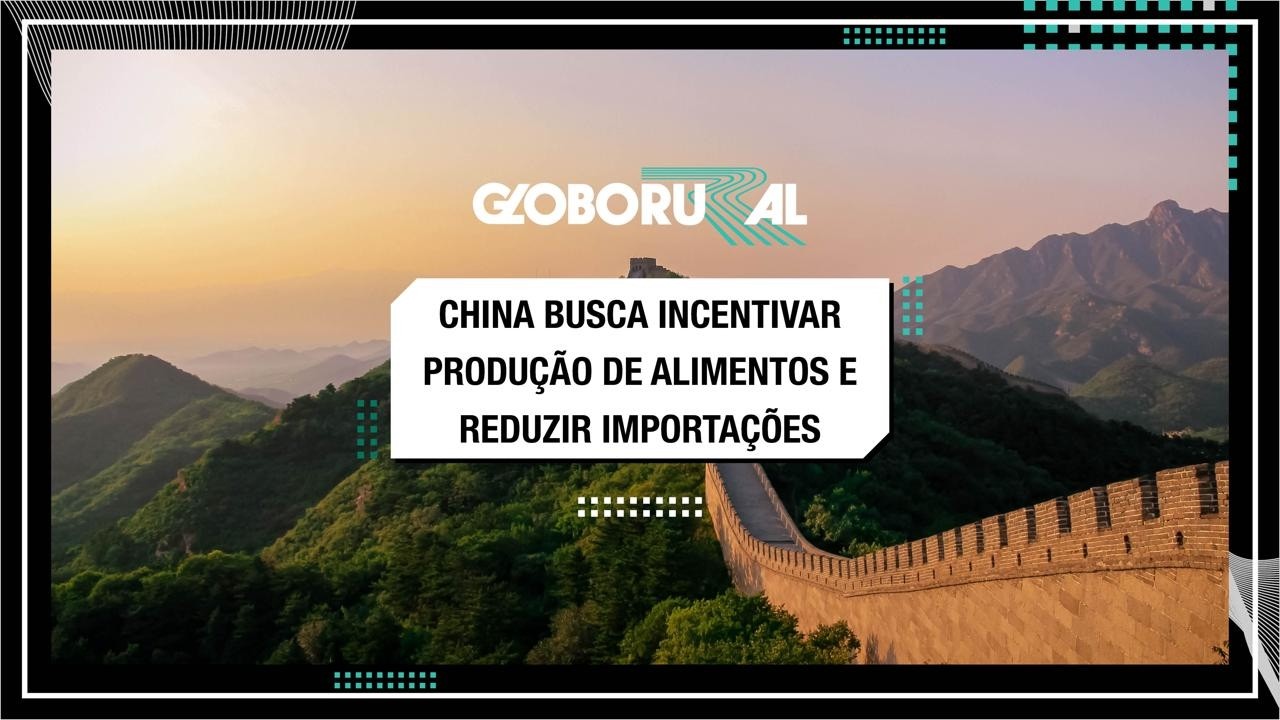 China busca incentivar produção de alimentos e reduzir importações | Globo Rural