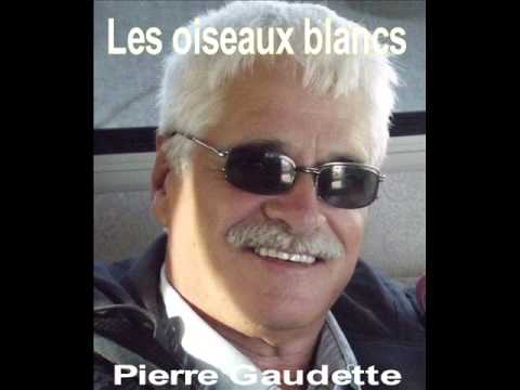 Pierre Gaudette - Les oiseaux blancs