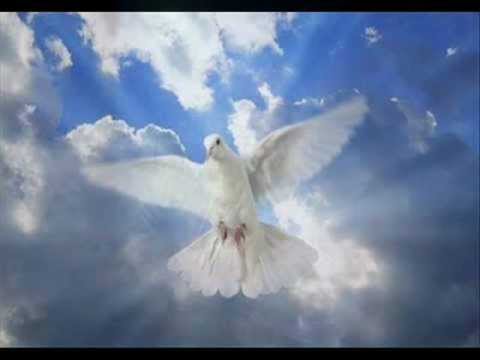 SOKO S' TABIJE   Eldin Huseinbegovic