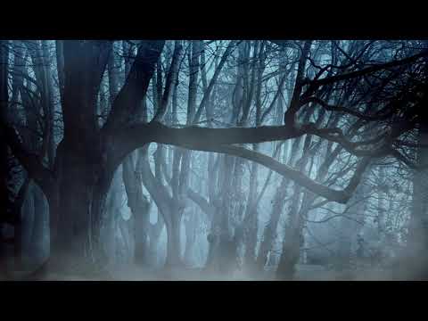 Spooky Forest Ambience 1 Hour - Lost In The Woods  | Spooky | Eerie | Haunted | Scary |