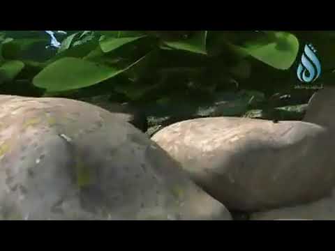 The world's shortest film. It is only 1:30 seconds. The director took only 30 min to complete it but