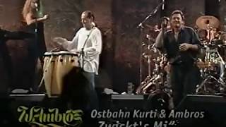 Wolfgang Ambros und Ostbahn Kurti - Zwickt&#39;s Mi (LIVE)