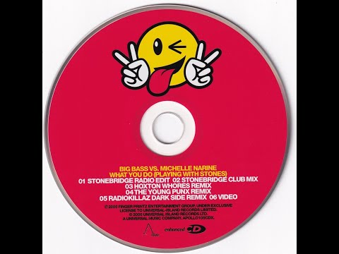 BIG BASS vs MICHELLE NARINE - What You Do (Stonebridge Club Mix)