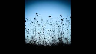 The Echelon Effect - As The Lights Fade Away