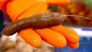 Korean Street Food - PENIS FISH Seoul Seafood