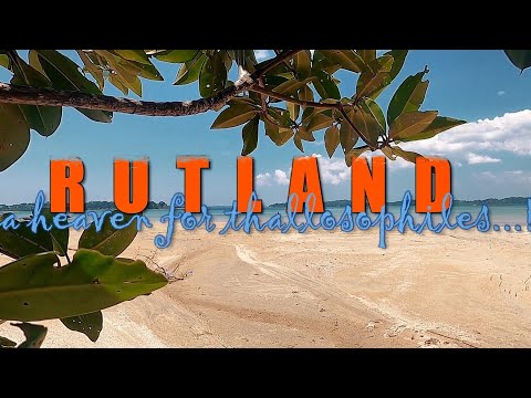 Rutland Island | A Heaven for thallosophiles | aka Kalapahad
