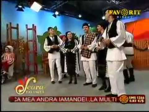 GRUPUL DE LA VAIDEENI   2