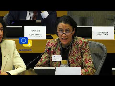 Video Thumbnail: Visa Bans Threaten EU Democracy — Disinformation Expert Warns Parliament Over U.S. Sanctions