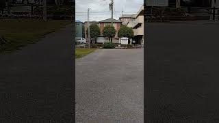 牛乳屋さん  #高市政権 #井戸端 #立花孝志