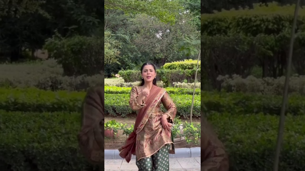 Punjabi Laughs: Unboxing 500 Crores of Comedy