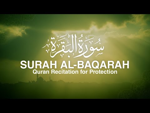 Surah Al-Baqarah Recitation | Full Calm Quran Audio