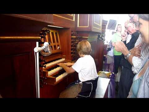 kerkorgel zutphen omd11