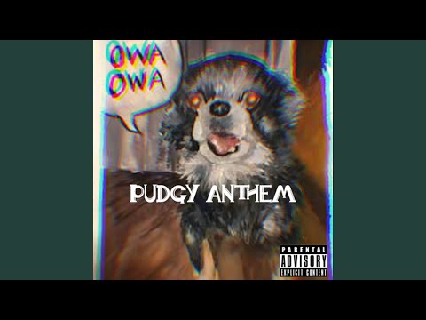 DDark Ft Sensei D - Owa Owa (Pudgy Anthem)