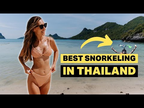 KOH SAMUI Adventure! You've got to do this! 🇹🇭 ISLAND TOUR