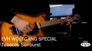 Video thumbnail for EVH Wolfgang Special Tobacco Sunburst Japan,cover of "perplexed" by Pete Thorn. by themindbenders