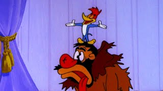 Pica-Pau Engana o Bobo da Corte | Pica-Pau em Português