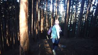 2018/12/30 数馬峠からの下山 その2