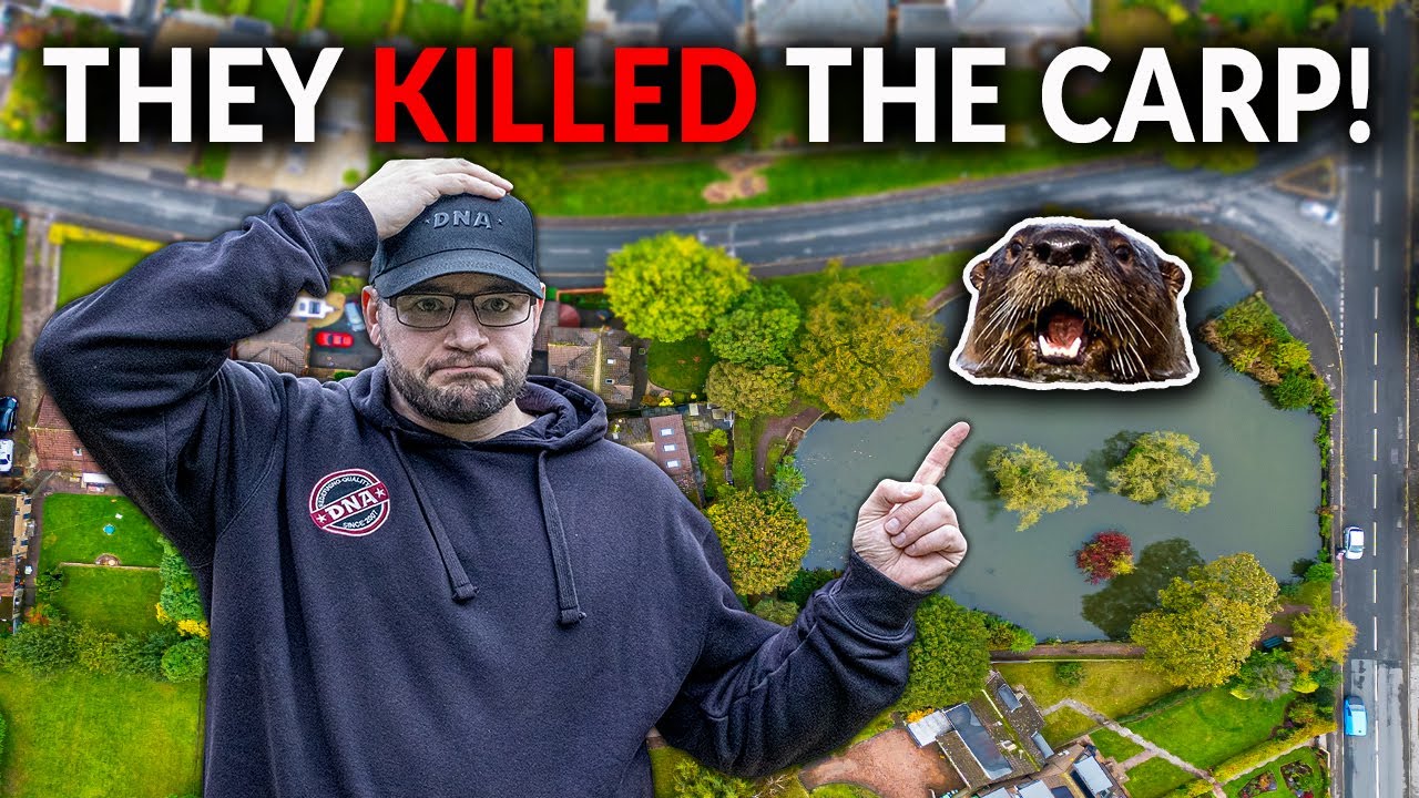 Carp Fishing a Lake DESTROYED by OTTERS results in a SPECIAL Fish!
