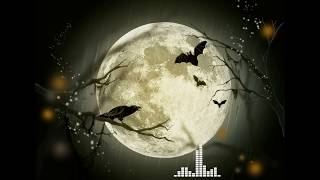 Download lagu D.Gray Man OP - Doubt & Trust (ハープ&アコギ カバー)celtic harp / acoustic guitar cover mp3 Download lagu D.Gray Man OP - Doubt & Trust (ハープ&アコギ カバー)celtic harp / acoustic guitar cover mp3