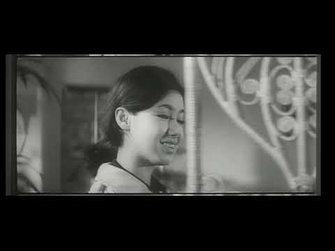Trailer Carmen from Kawachi aka Kawachi Karumen (1966) Japanese Trailer