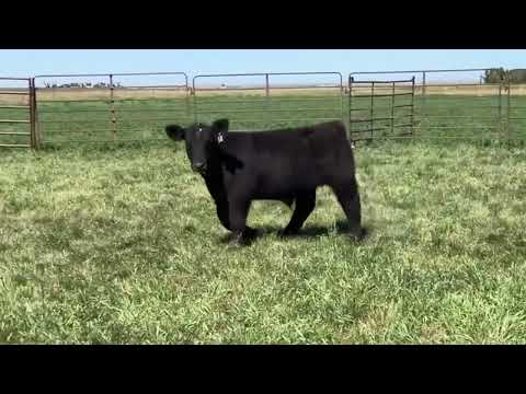 Tag 18 video