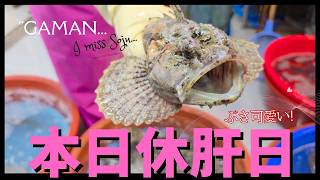 【在韓19年】ぶさ可愛い魚の誘惑と、江華島の絶品グルメとポンコツ嫁の必死な休肝日ごっこ。