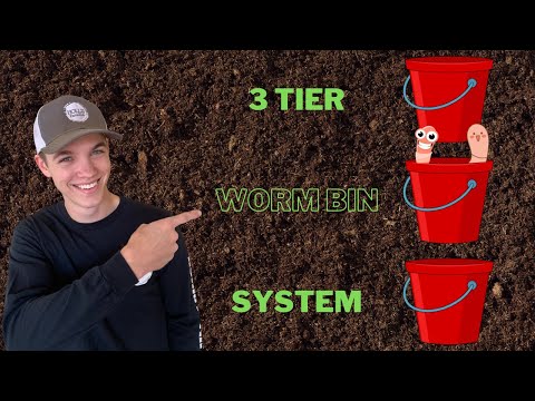 Cheap and EASY Three Tier Worm Bin System!