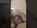 Nowe Płyty DVD Do Kolekcji Z Targu