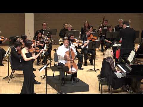 Triple Concerto for Violin, Cello, and Piano in C major, Op. 56, L. van Beethoven