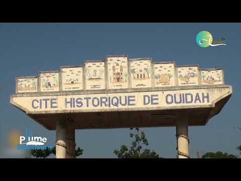 Voir la vidéo YouTube