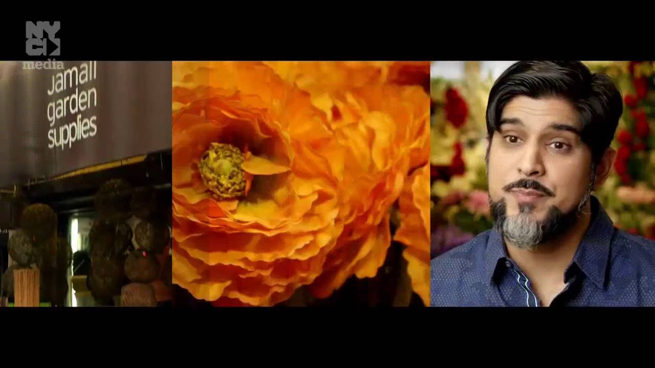 Why do plants grow better with rainwater? Tipseri