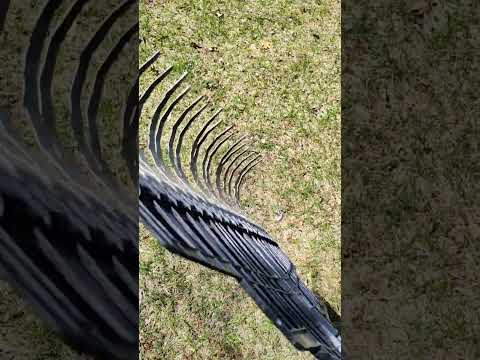 True Temper Dethatching Rake #spring #lawncare #mowing