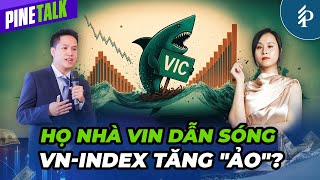Nhóm Vingroup kéo chỉ số – VN-Index “xanh vỏ, đỏ lòng”? #VIX #STB #VIC #GEX #HAH #DDV #CII