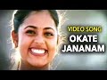Srihari Bhadrachalam Telugu Movie Okate Jananam Video Song