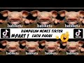 KUMPULAN VIDEO LUCU BABIKETU VIRAL 2023 MEME TIKTOK