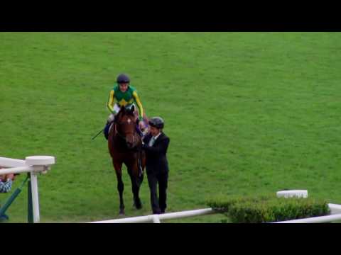 2016年10/23　 第77回 菊花賞（GI）