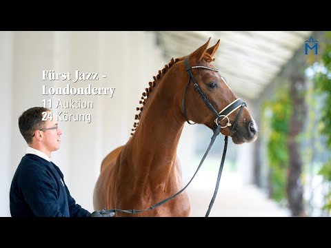 Nr. 11 Hengst v. Fürst Jazz - Londonderry