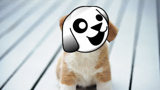 Puppy Linux Install and Review