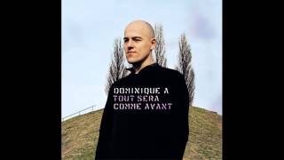 Dominique A - Dans les hommes