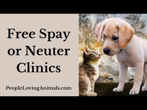 Free Spay or Neuter Clinics - How to Find Free or Low-Cost Spaying or Neutering