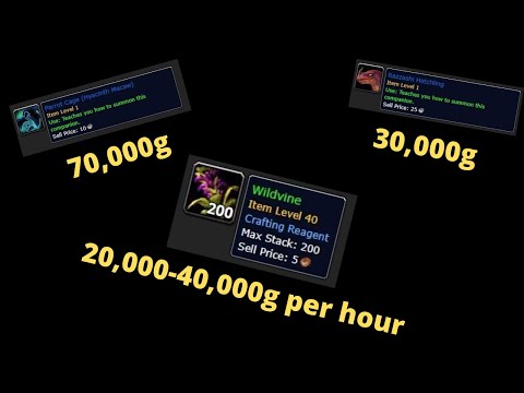 WoW Gold Farm: 20,000-40,000g per hour + Loot after 1 hour | WoW 8.3 Gold Making