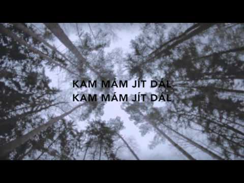 Tvůj stín (lyrics)