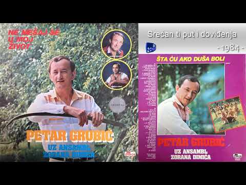 Petar Grubic - Srecan ti put i dovidjenja - (Audio 1984)