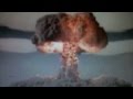 Pond Giant Tortoise Official Video