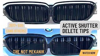 BMW Active Grill Delete Tips (not full tutorial)